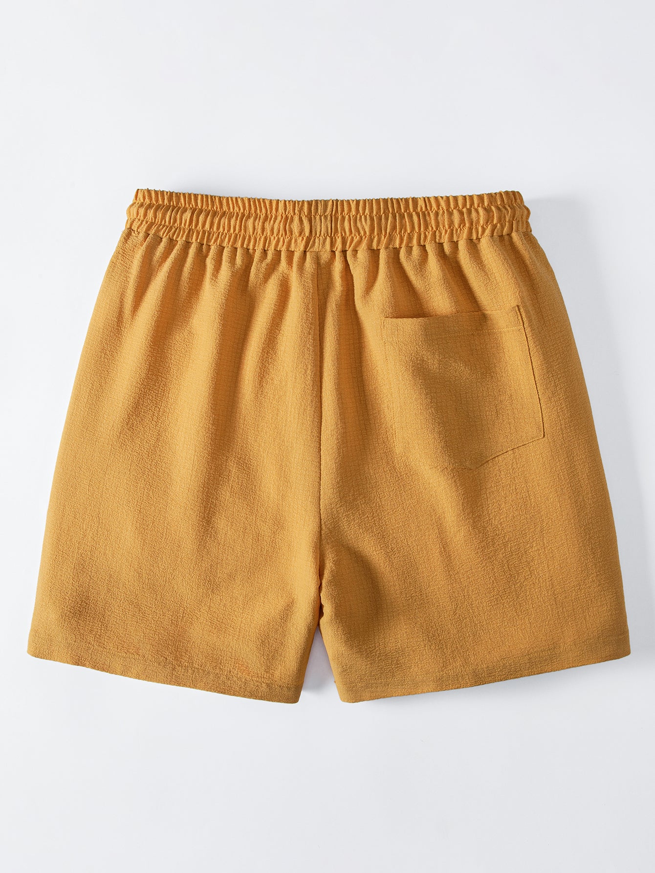 Palm Tree Patch Seersucker 6" Shorts